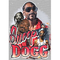 idol singer-GS  2050